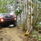Illustration for article titled Heres How The 2016 Toyota Tacoma Looks Off-Road